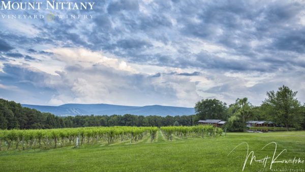 Mount Nittany Winery Landscape