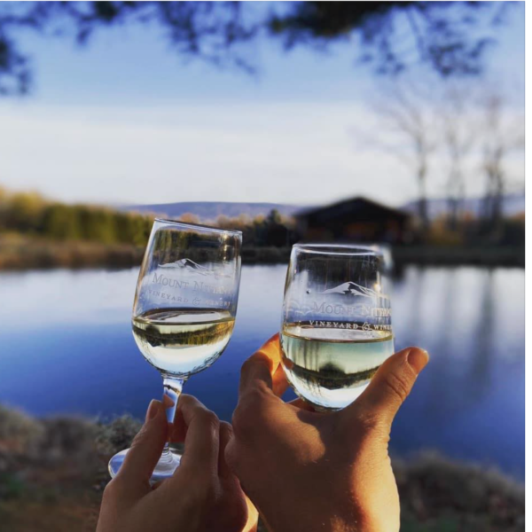 Two glasses held in front of winery pond