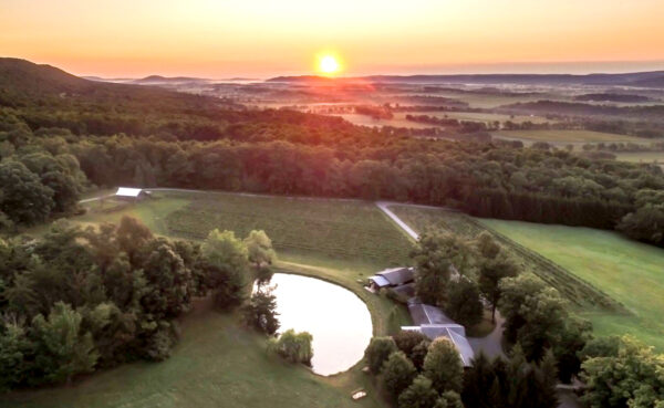 Overview of winery Sunset