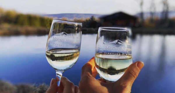 glasses of wine image