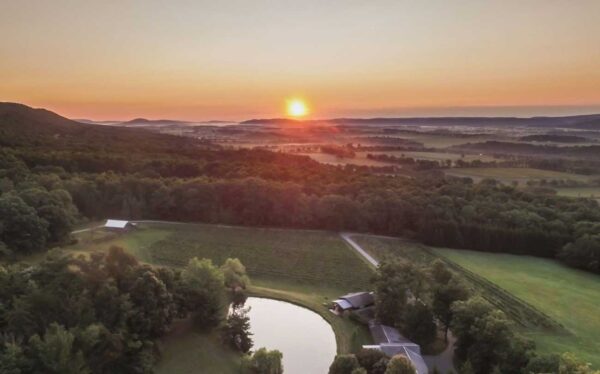 Overview of winery
